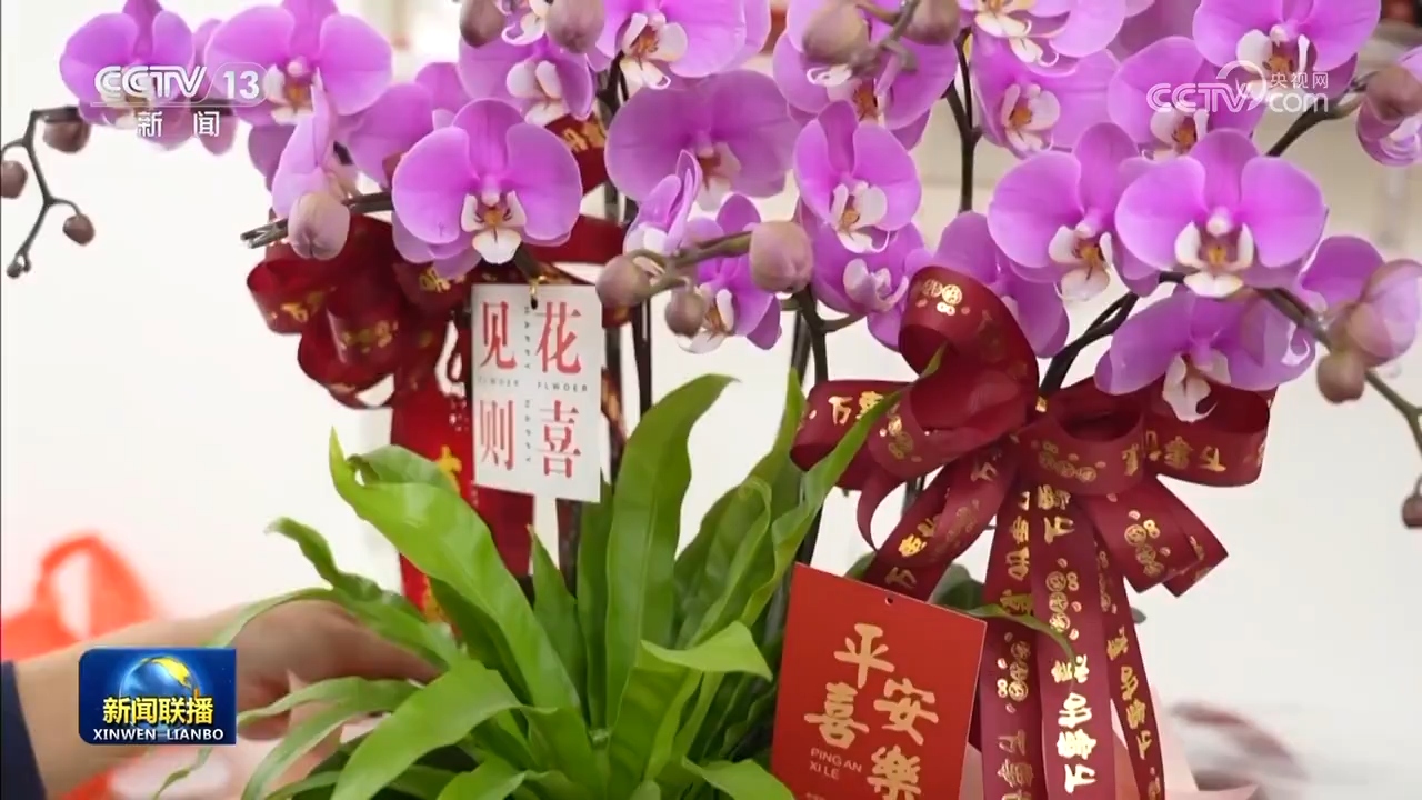 各地装扮一新 新年氛围渐浓(图3)