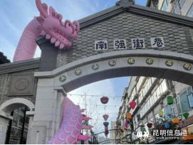 适应昆明融入昆明俄罗斯女孩阿丽娜期待与春城共成长(图6)