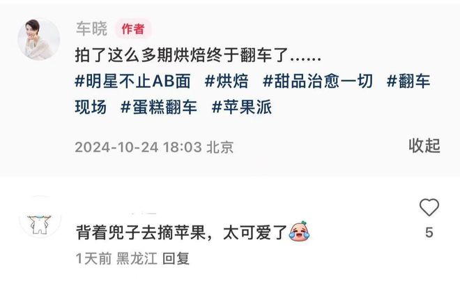 42岁车晓晒独居生活一人住别墅在小院摘苹果单身12年不孤单(图4)