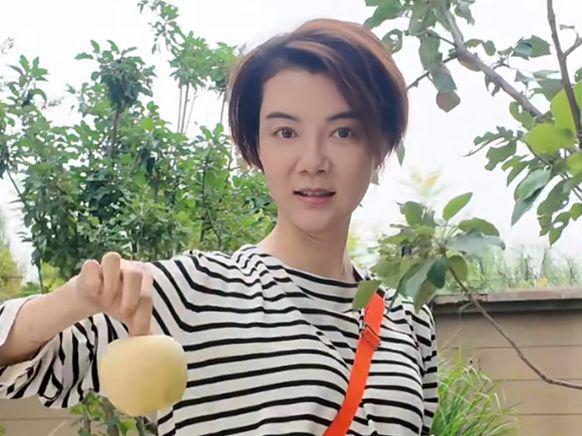 42岁车晓晒独居生活一人住别墅在小院摘苹果单身12年不孤单(图9)