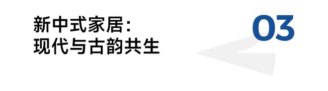 新中式消费出圈解锁8个“年轻人市场”(图7)
