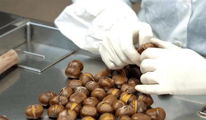 原创人板栗火爆广东节日送礼就选它寓意满满情意重！(图3)