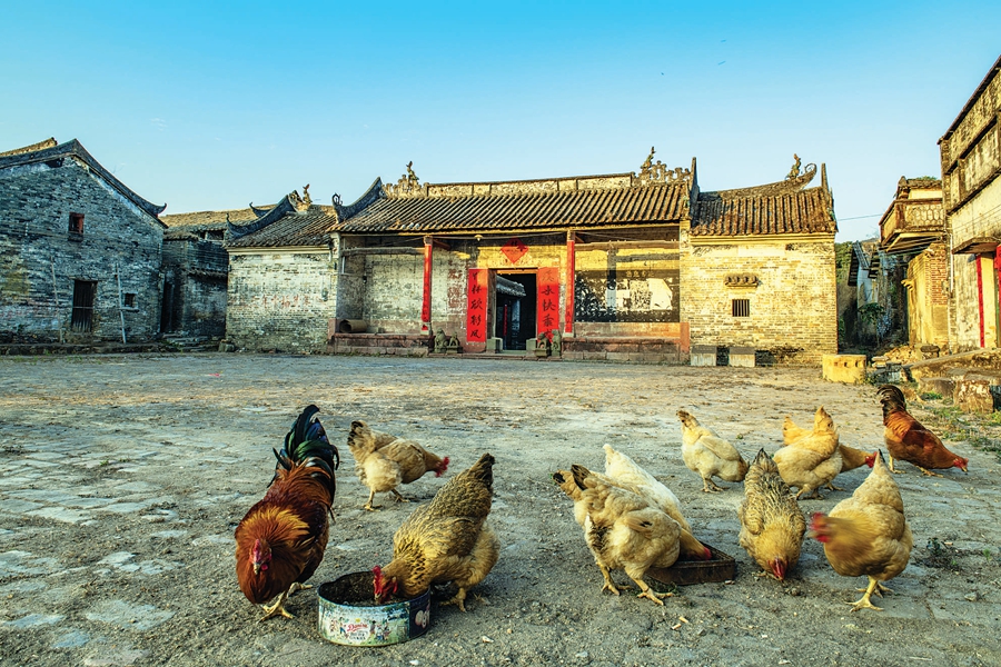 米饼、腊味、黄酒……龙门：绝佳美味飘来年的味道(图3)