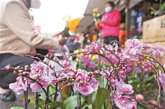 【网络中国节·春节】东莞大街小巷年味渐浓(图3)