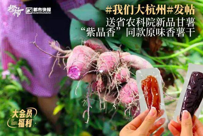 暂停一下送2025年对联啦！拱宸道院张大仙庙的新年对联礼盒来了(图6)