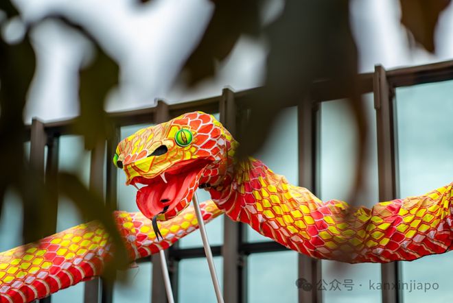 新加坡华族文化中心蛇年春节狂欢正式开启！22场好戏连台(图5)