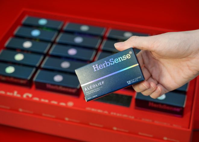 贺柏圣新年限定礼盒 红运安康 金蛇启运(图5)