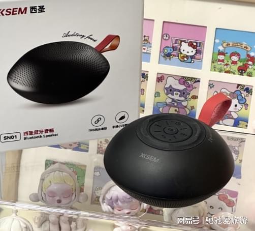 春节送礼物排行榜前十名：过年送什么礼物最好？新年好物必买清单(图3)