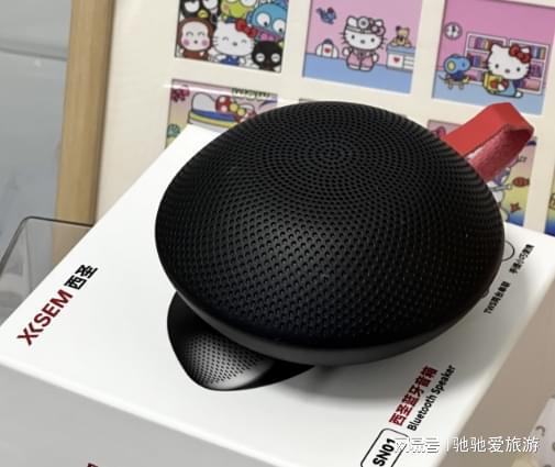 春节送礼物排行榜前十名：过年送什么礼物最好？新年好物必买清单(图4)