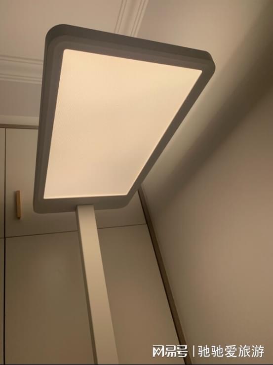 春节送礼物排行榜前十名：过年送什么礼物最好？新年好物必买清单(图8)