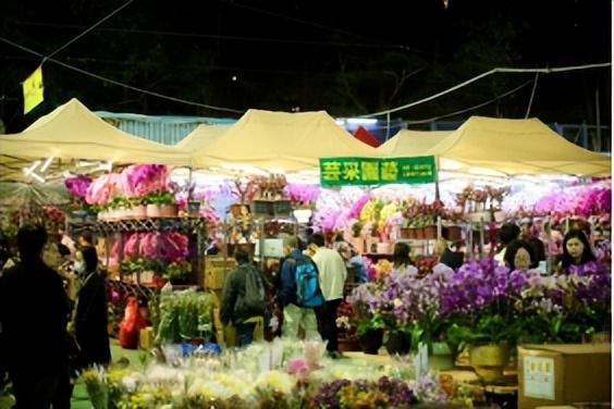 香港农历新年10个不容错过的春节体验(图5)