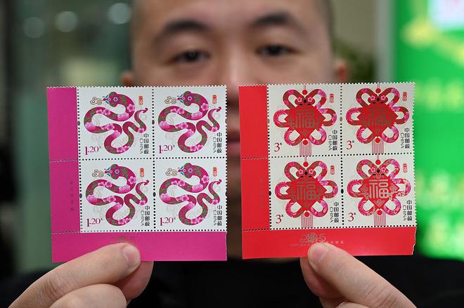 图集｜2025第一个世界非遗版春节！笑辞龙去喜迎蛇来(图11)