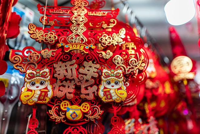 图集｜2025第一个世界非遗版春节！笑辞龙去喜迎蛇来(图9)