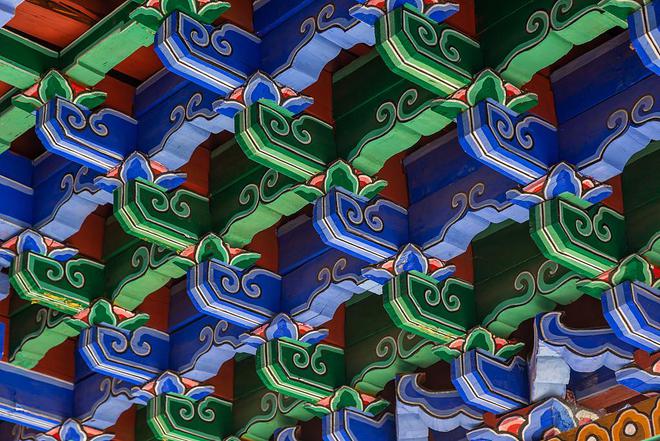 图集｜2025第一个世界非遗版春节！笑辞龙去喜迎蛇来(图22)