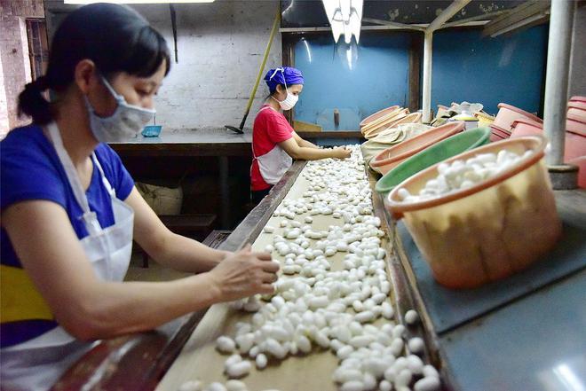 图集｜2025第一个世界非遗版春节！笑辞龙去喜迎蛇来(图30)