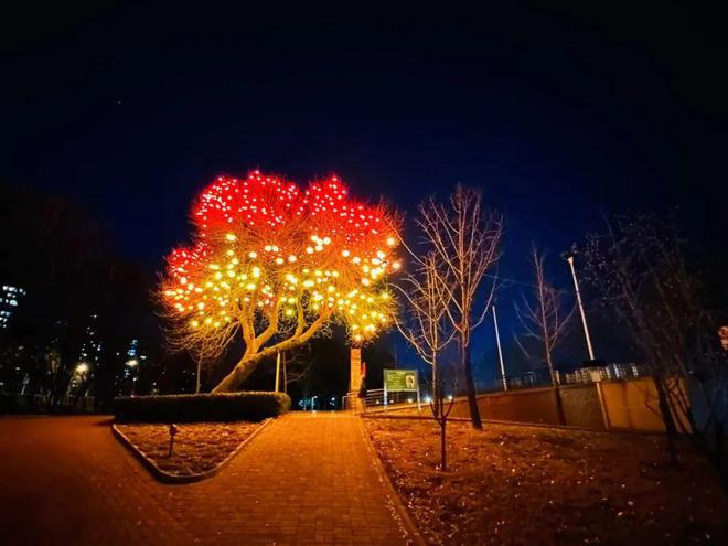 启动！万盏“柿子”树亮相顺义新春氛围感拉满(图3)