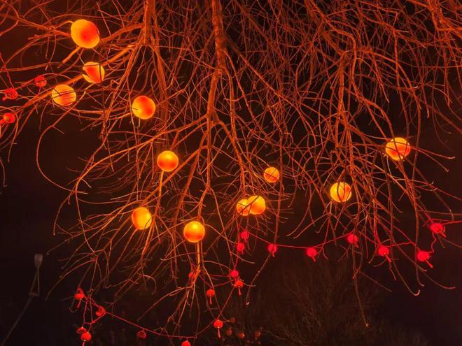 启动！万盏“柿子”树亮相顺义新春氛围感拉满(图2)