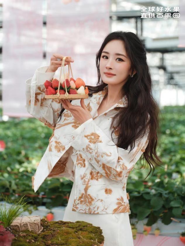 百果园在南京草莓基地做溯源直播携手杨幂发布新春礼盒(图2)