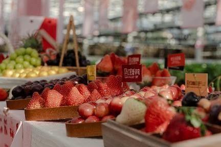 百果园在南京草莓基地做溯源直播携手杨幂发布新春礼盒(图3)