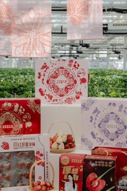 百果园在南京草莓基地做溯源直播携手杨幂发布新春礼盒(图4)