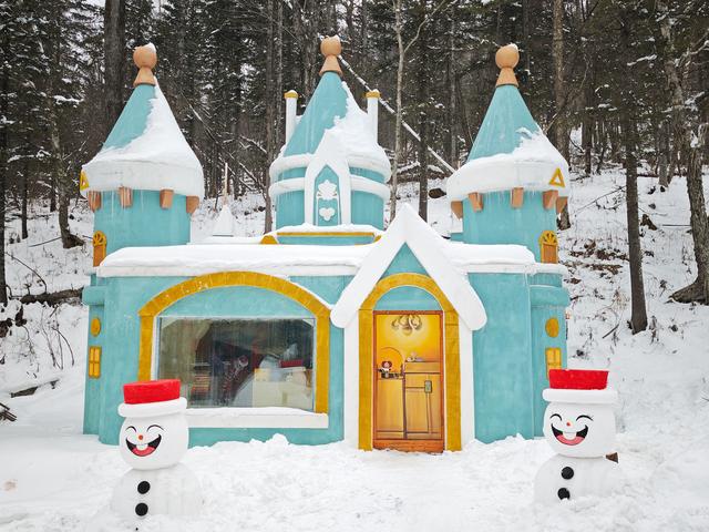 雪乡迎新年：萌宠乐翻天雪世界欢乐谷元旦盛启(图3)