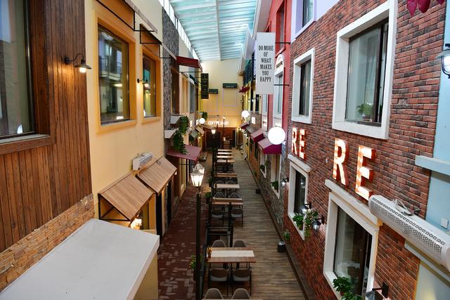 雪乡迎新年：萌宠乐翻天雪世界欢乐谷元旦盛启(图5)