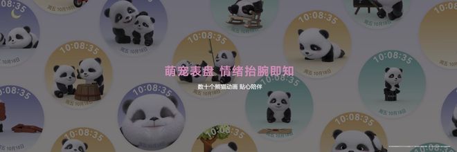 新年送礼新风尚华为智能手表助亲朋好友开启健康新生活(图2)