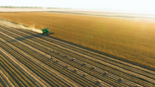 万事以“和”为贵永和豆浆新年送礼送祝福(图3)