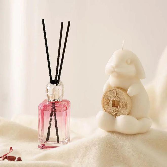 9件新年礼物小众高颜值均价百元！(图12)