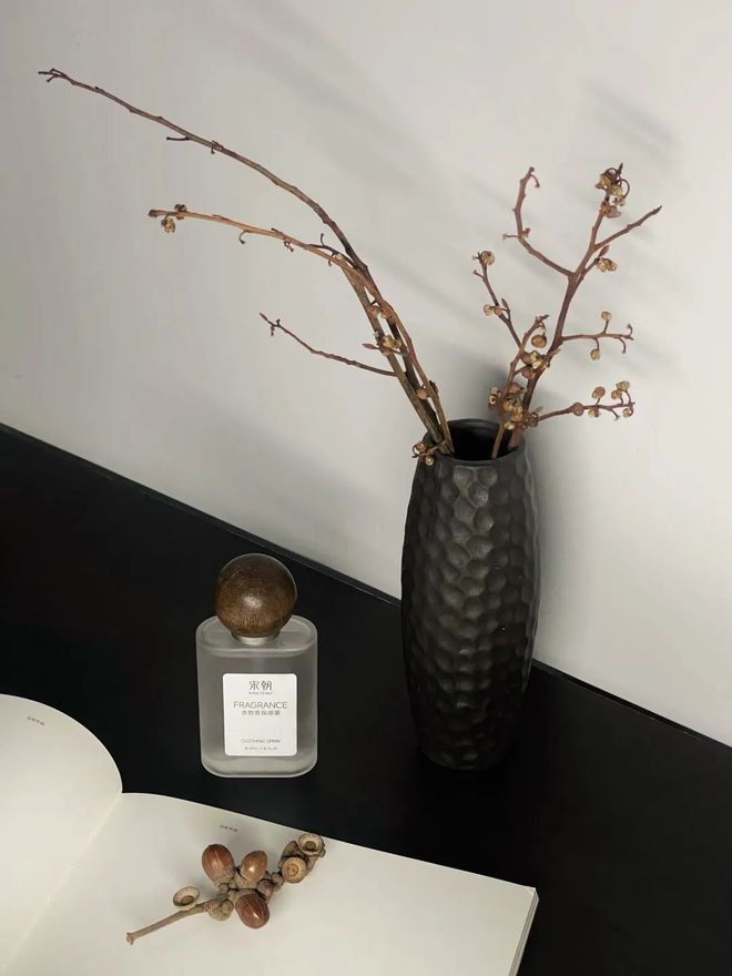 9件新年礼物小众高颜值均价百元！(图24)