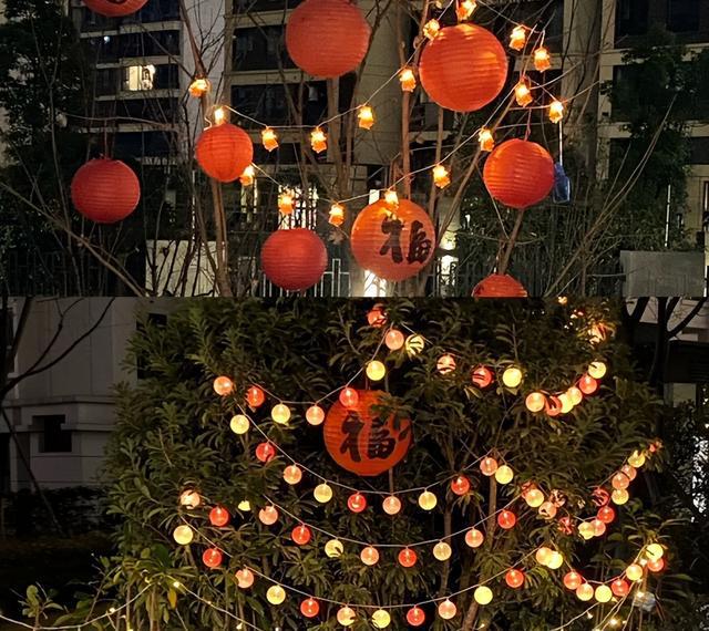 大年三十家里再省钱也要在客厅放上这“4样”日子越过越顺(图9)