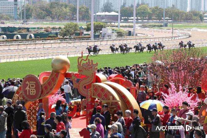 巳巳如意！香港农历新春“年味”浓(图7)