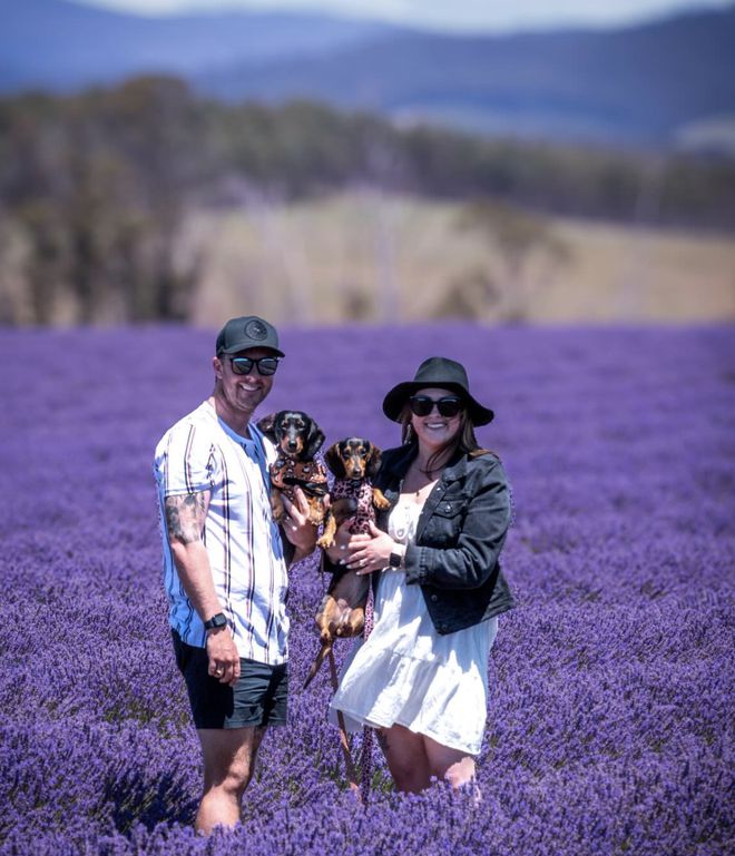 春节度假首选！果冻海、酒杯湾骑马看企鹅在澳洲海岛过盛夏(图4)