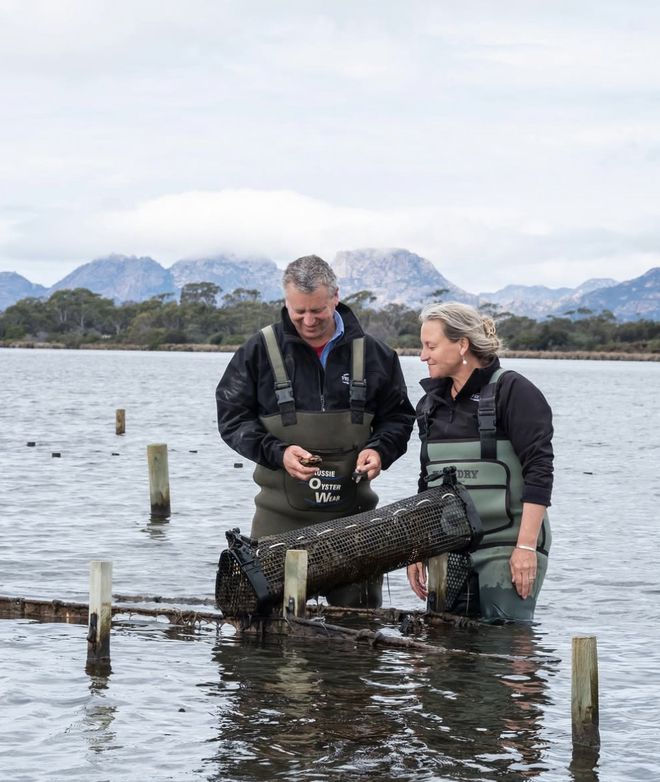 春节度假首选！果冻海、酒杯湾骑马看企鹅在澳洲海岛过盛夏(图16)