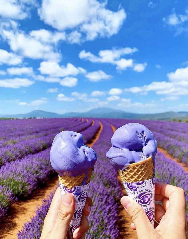 春节度假首选！果冻海、酒杯湾骑马看企鹅在澳洲海岛过盛夏(图15)