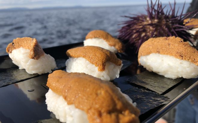 春节度假首选！果冻海、酒杯湾骑马看企鹅在澳洲海岛过盛夏(图23)