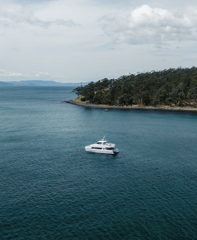 春节度假首选！果冻海、酒杯湾骑马看企鹅在澳洲海岛过盛夏(图24)