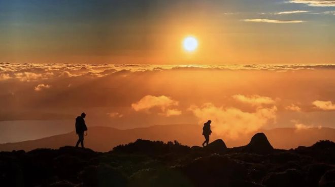 春节度假首选！果冻海、酒杯湾骑马看企鹅在澳洲海岛过盛夏(图20)