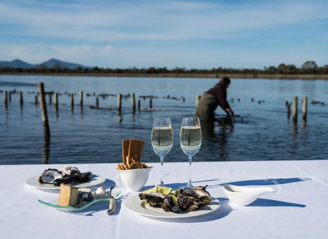春节度假首选！果冻海、酒杯湾骑马看企鹅在澳洲海岛过盛夏(图32)