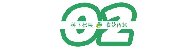 神曲一出六个核桃把春节送礼玩明白了(图5)