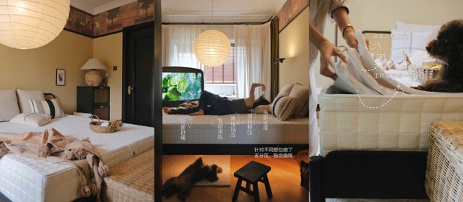 新年家居焕新颜全友家居让家充满节日氛围感(图5)