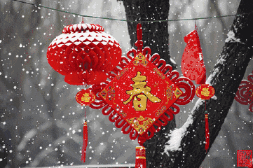 中国人的根也是中国人的文化自信(图3)