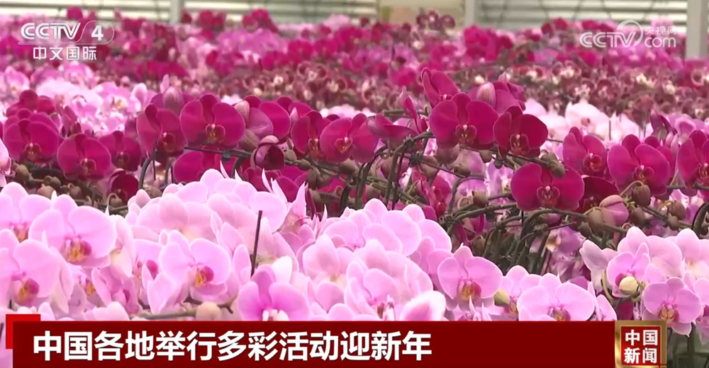 多彩活动将新年氛围“拉满” 中国各地装扮一新喜迎新年(图3)