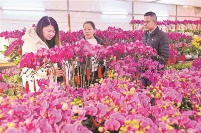 潍坊青州气氛组上线承包你新年的浪漫(图3)