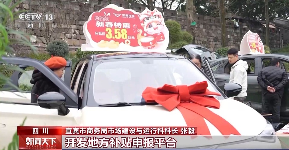 辞旧“焕”新 政策补贴继续“点燃”春节消费市场(图16)