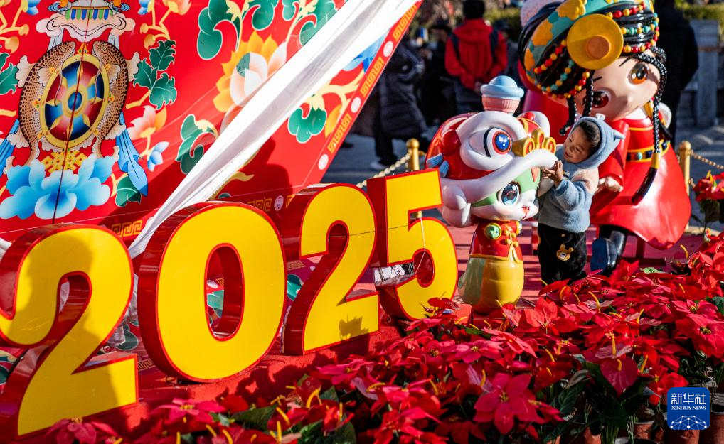 西藏：“日光之城”年味浓(图3)