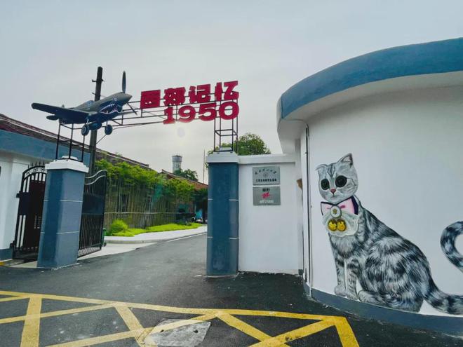 收藏！2025汉中春节最全文旅活动指南来了(图9)
