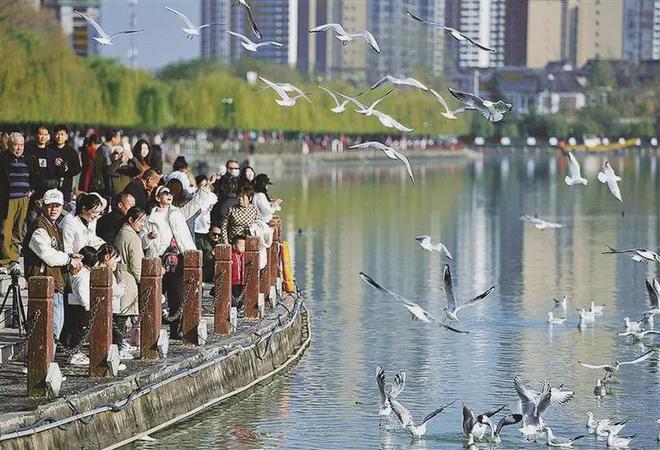 收藏！2025汉中春节最全文旅活动指南来了(图22)