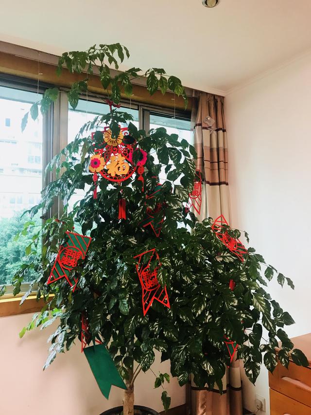 100块搞定新年装饰进来看(图5)