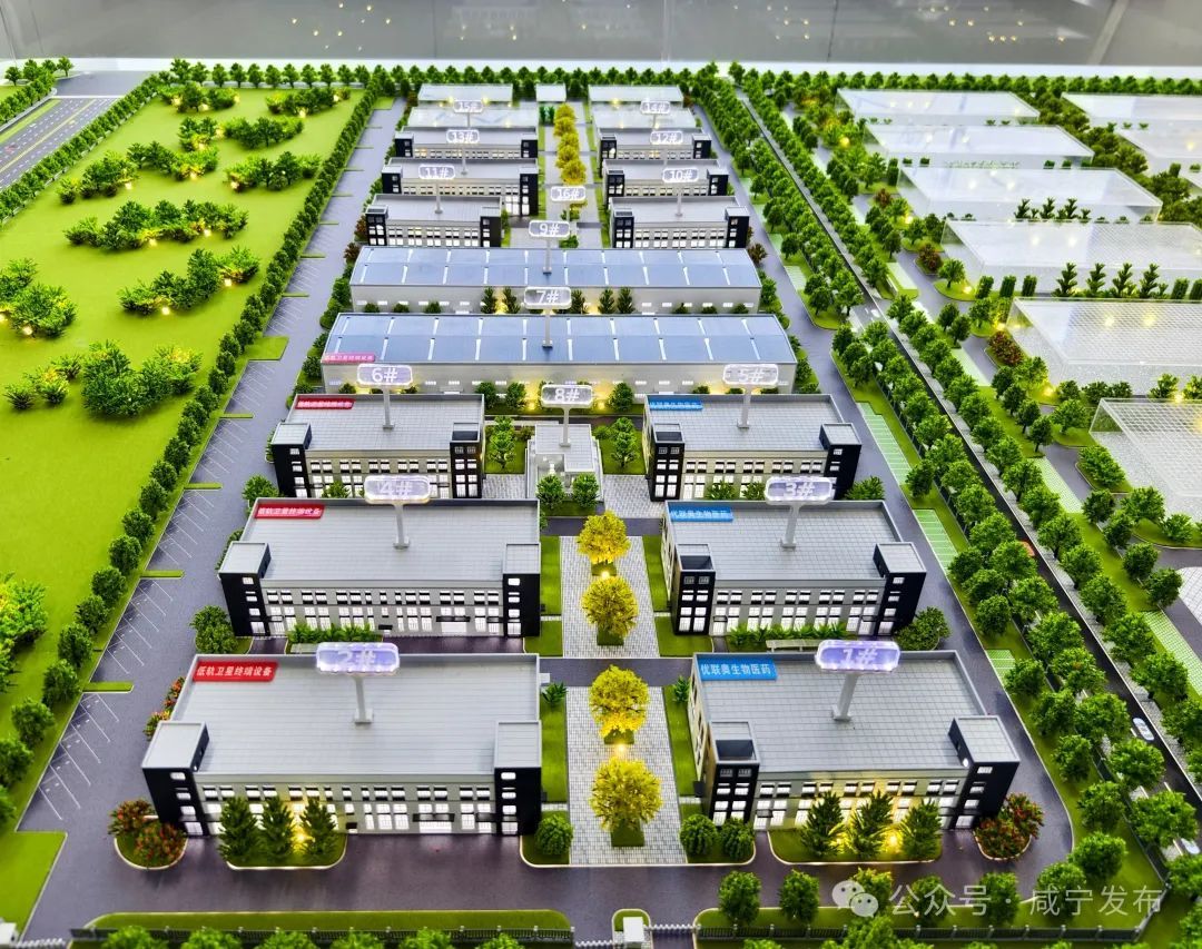支点建设的咸安实践：以专业园区打造产业聚变新引擎(图9)